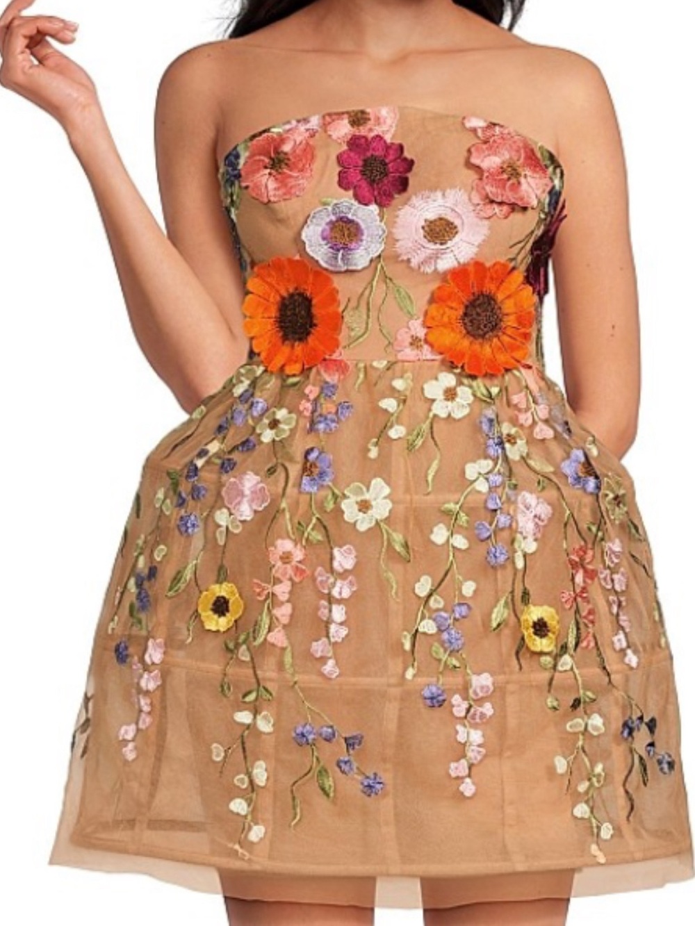 BCBG MaxAzria Women's Tulle Floral Appliqué Mini Dress